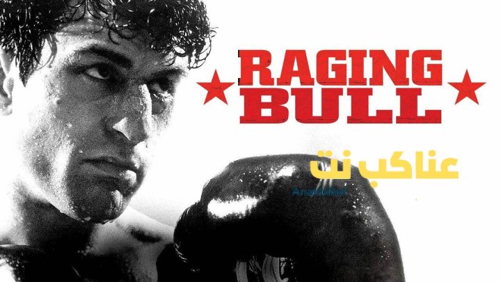 فيلم Raging Bull 1980 مترجم