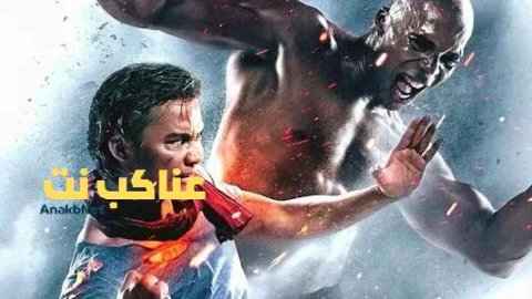 مشاهدة فيلم The Protector 2 2013 مترجم