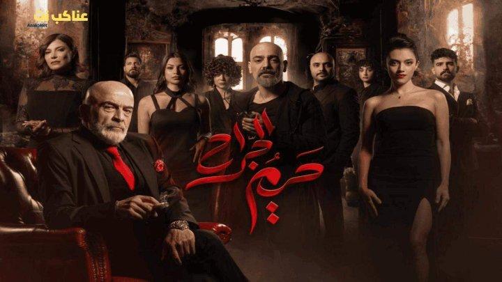 مسلسل حريم الجراح الحلقة 14 الرابعة عشرة