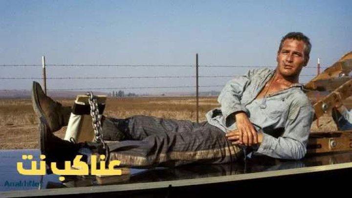 فيلم 1967 Cool Hand Luke مترجم