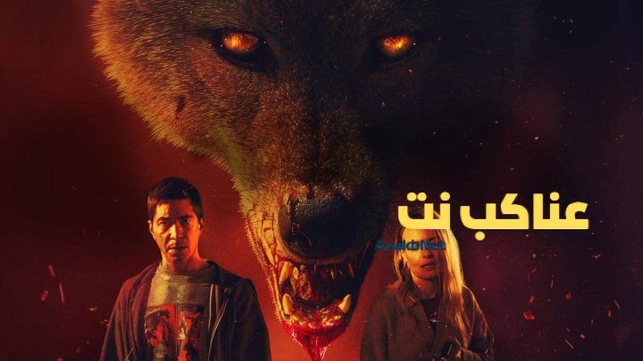 مشاهدة فيلم Coyotes 2025 مترجم