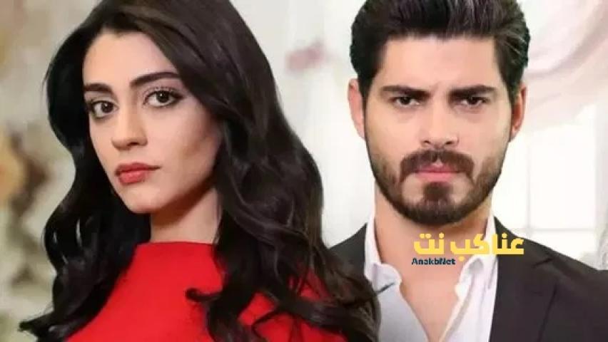 مسلسل العروس الحلقة 17 مترجمة