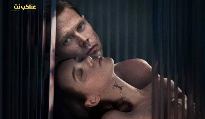 فيلم Sugar Baby 2024 مترجم